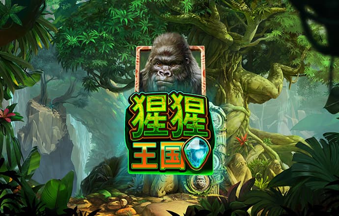 非凡体育官网入口app